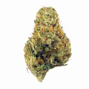 Super Glue
