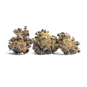 Master Kush