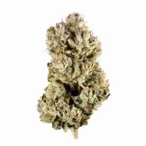 Gorilla glue # 4
